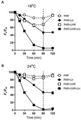 Warming modulates the photosynthetic performance of Thalassiosira pseudonana in response to UV radiation